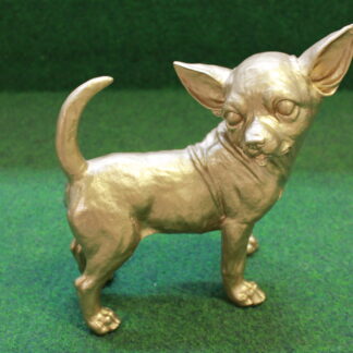 Gouden Chihuahua