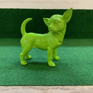 Groene Chihuahua