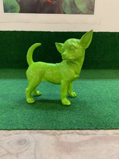 Groene Chihuahua