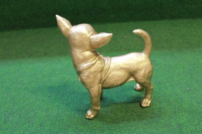 Gouden Chihuahua - Afbeelding 3