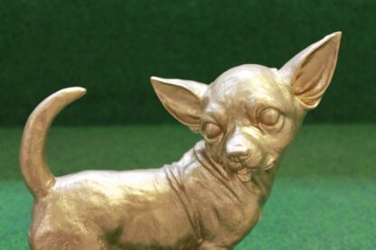 Gouden Chihuahua - Afbeelding 2