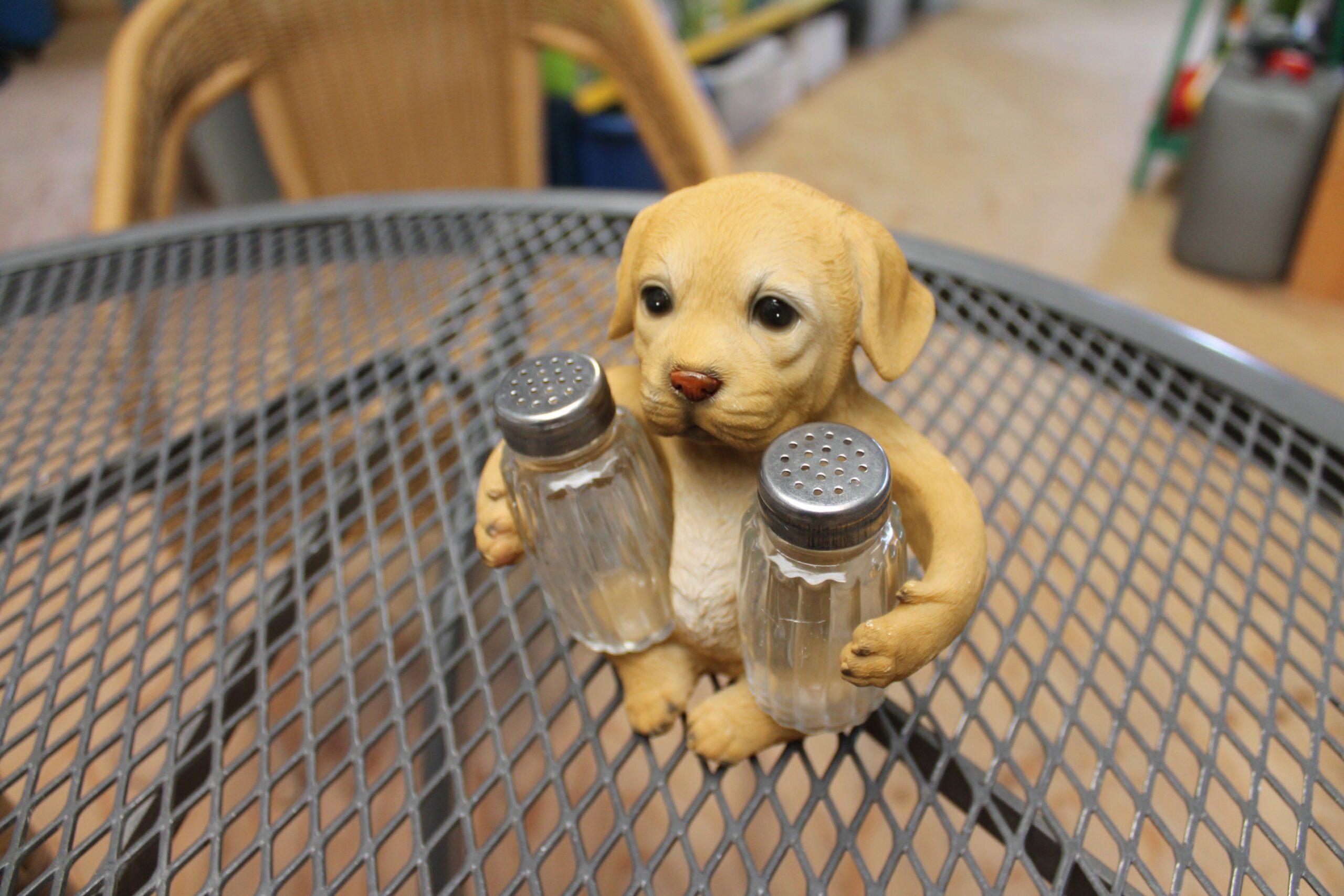 Peper zoutstelletje hond - Afbeelding 3