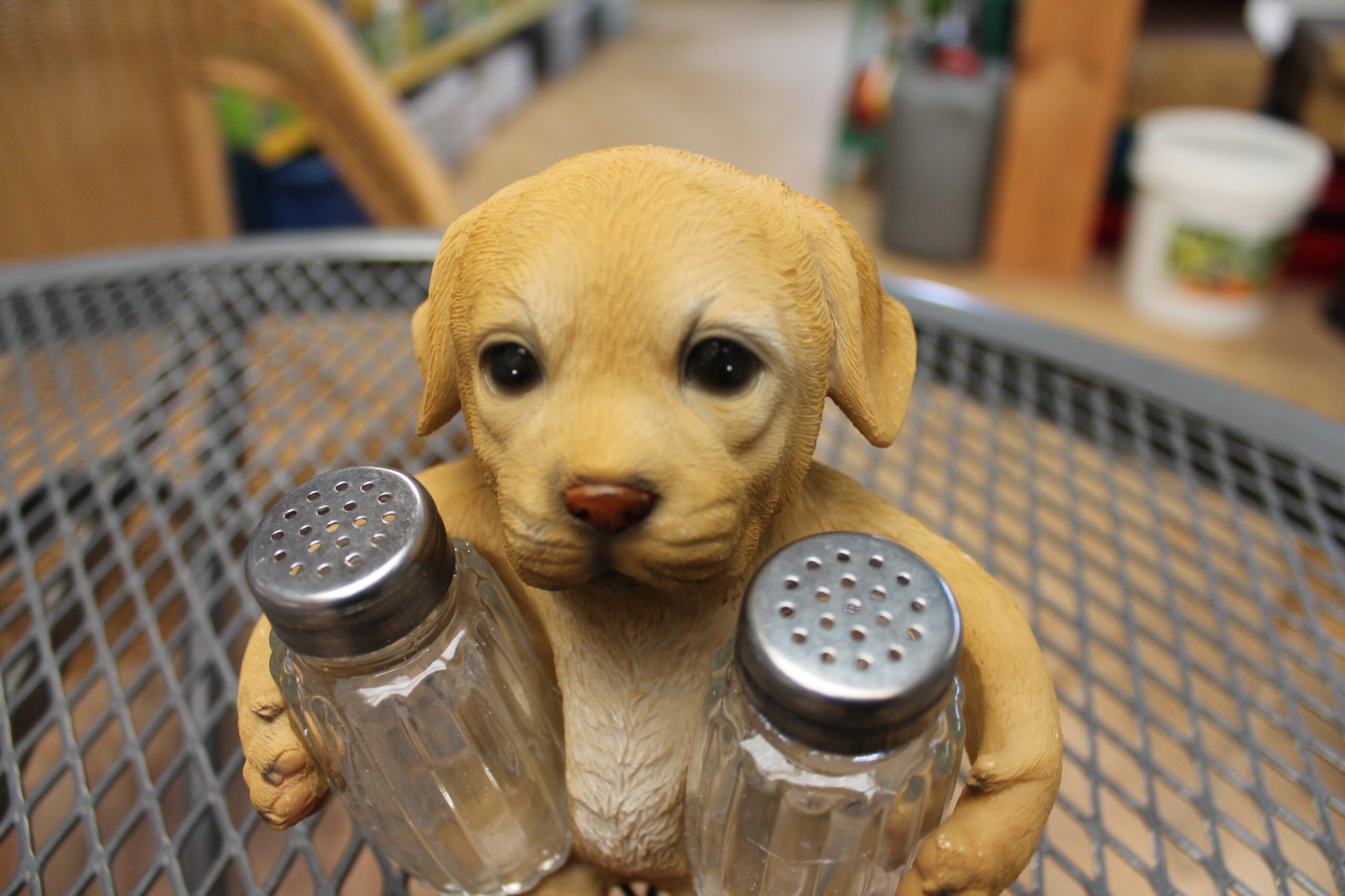 Peper zoutstelletje hond