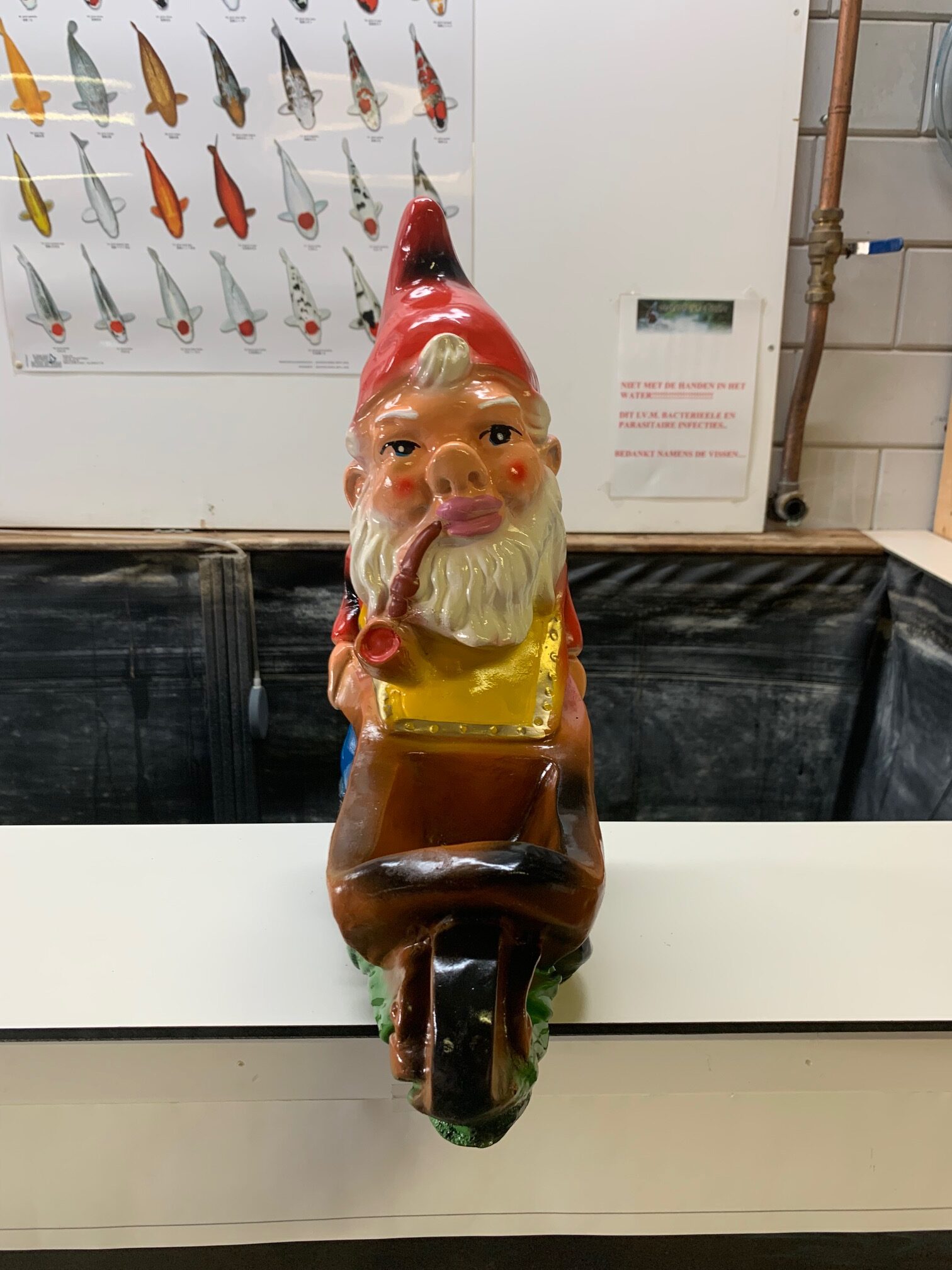 Kabouter met kruiwagen