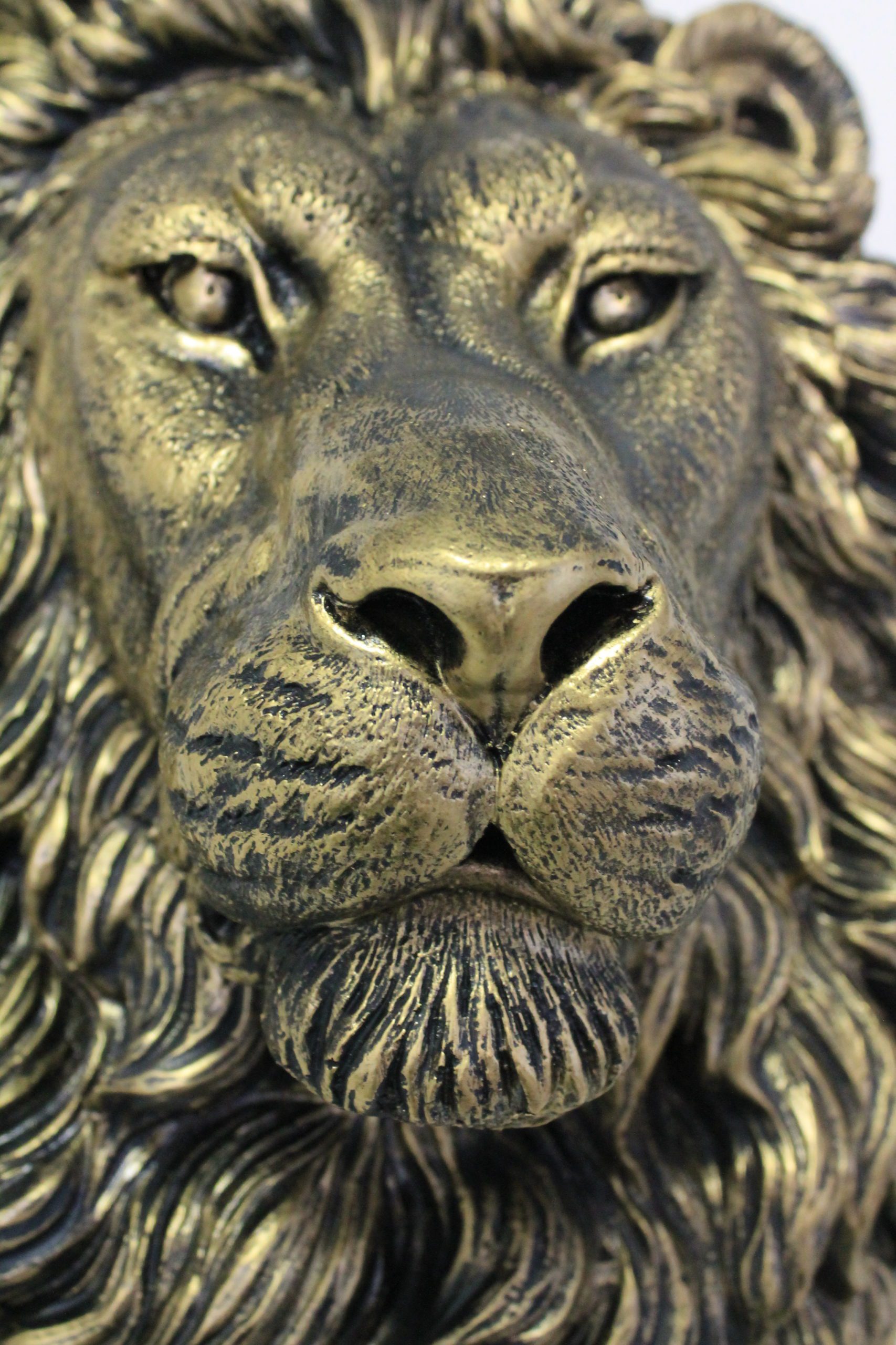 Leeuwenkop goud - Afbeelding 2