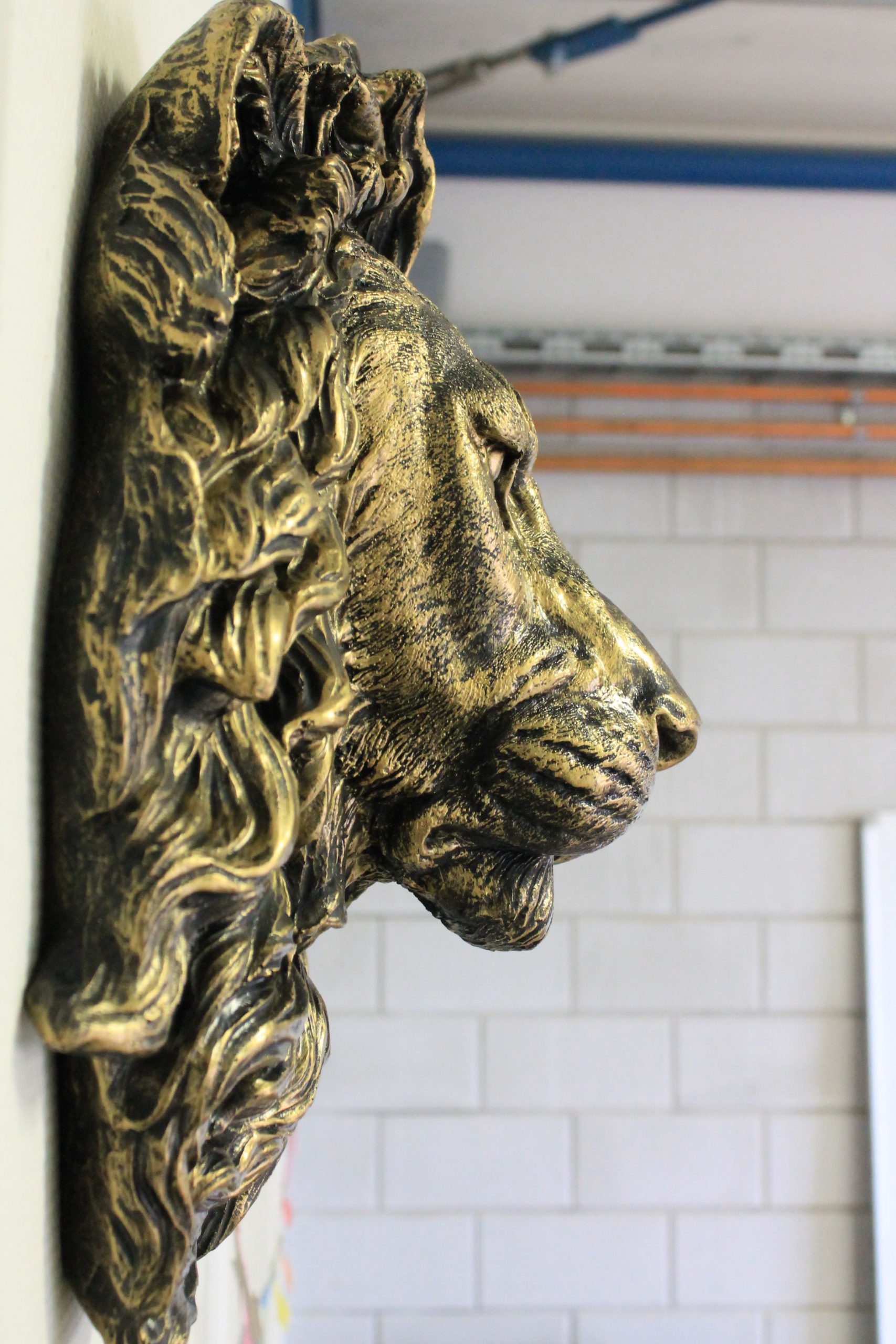 Leeuwenkop goud - Afbeelding 4