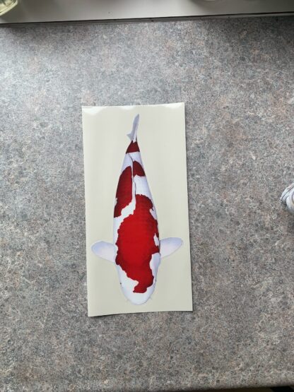 Koi Sticker 3 - Inazuma Kohaku