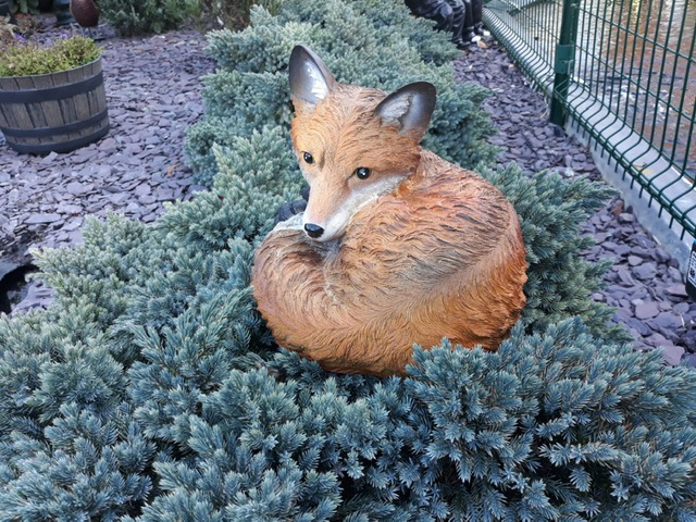 Vosje liggend klein - Afbeelding 9