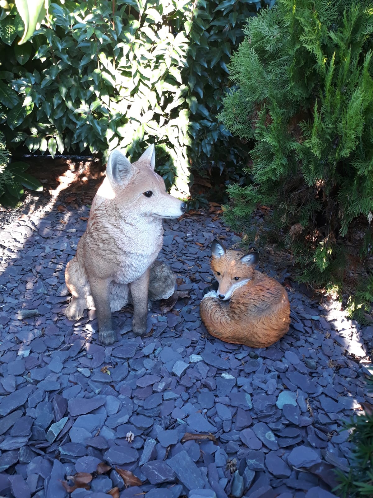 Vosje liggend klein - Afbeelding 10